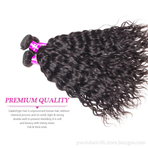 Grade 10A 100% Raw Unprocessed Virgin Peruvian Hair 2019 Virgin Peruvian Water Wave Hair with Lace Closure